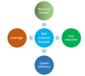 Net income growth